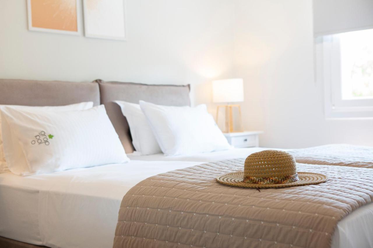 Grappolo Lefkada Villas - Vilana Ideal For Families And Small Groups Apolpaina Exteriér fotografie